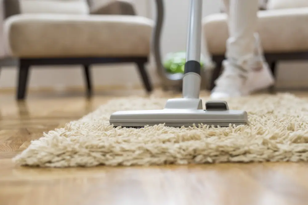 Professional deep carpet cleaning