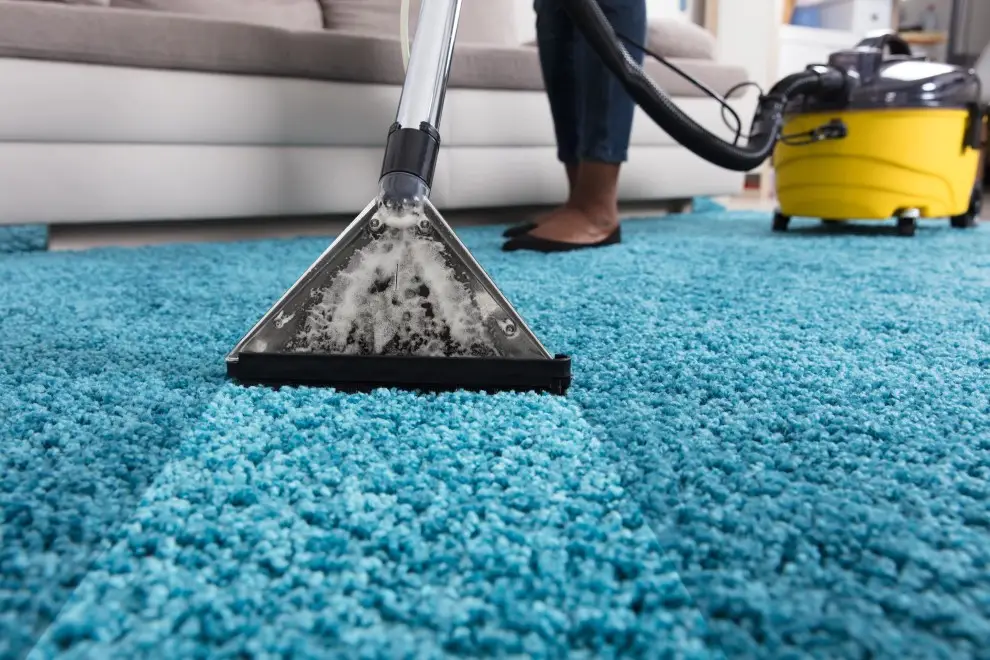 Professional carpet and rug cleaning